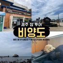 제주 비양도 호니토 | 제주도 비양도 후기 배편 배시간 요금 가격 카페 자전거대여 한림항 애견동반 강아지 총 정리