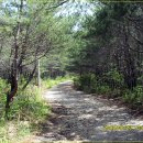 송대민박 이미지