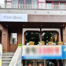 사파동113 이미지