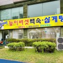숫지다능이버섯백숙 | [인천/미추홀] 영양만점 푸짐한 백숙, 문학구장 맛집 “숫지다능이버섯백숙”