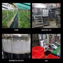 홍삼주유소 이미지