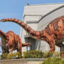 공룡박물관 네이버블로그