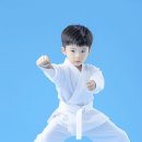 올바른 태권도 이미지