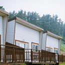 스테이 섬씽 울릉도 이미지