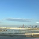 [합정/서교동]커리 덕후라면 꼭 가야 할 합정 만다라 인도라운지