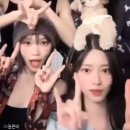 금비 이미지