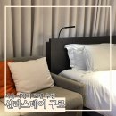 서울여행 가성비 호캉스 호텔 추천 신라스테이 구로 스탠다드트윈 후기