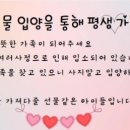 동물보육원 대전서구갈마지부 이미지