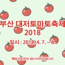 부산 대저토마토축제 2018 이미지