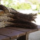 방시리민박 이미지