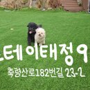 스테이태정93