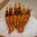 스시코우지고니