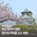 부산 오사카 배편 시간 예약 왕복가격 팬스타 미라클 크루즈 할인 정보