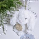 노블 소프트 이미지