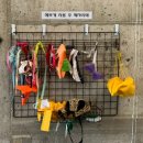 개프탑라운지 | [청주] 다양한 강아지 수제 간식에 무료 수영장까지 있는 청주애견카페, 개프탑라운지 수암골