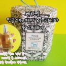 펫 유토피아 이미지