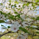 월계천2 이미지