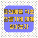 파인애플 식초 만들기에 대해 알아보자