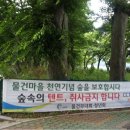 JKVill 네이버블로그