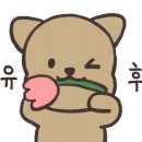 보리미식당 네이버블로그