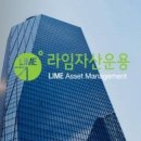 라임어드바이저
