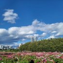 태화강국가정원 이미지