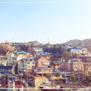 아파트 성채 / 靑山 손병흥 이미지