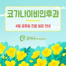 가나이비인후과의원 이미지