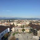 시가지 거리미관 개 | 슬로베니아 류블라나 여행 후기 / 류블라나 성과 구시가지 완벽 정리