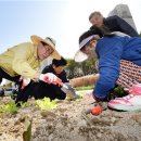 김봉수 농장 이미지