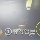 호텔 동그라미 이미지