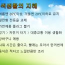 용해농장 네이버블로그