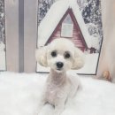 예쁘댕
