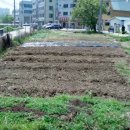 삼삼농장 이미지