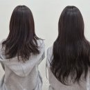 붙이다니 - 성동구 | 홍대붙임머리 추천 , 합정붙임머리 '홍대 붙이다니 붙임머리' 후기 !