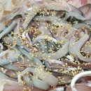 삼천포 회수산 이미지