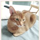 아이조아 요양보호소 경기광주 이미지