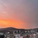 스테이365 이미지