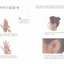 왕매실녹색농촌체험마을 이미지