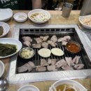 불빛가브리살