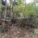 회수동-1 네이버블로그