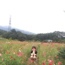 상수 목장 이미지