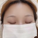 더모아뷰티 티스토리