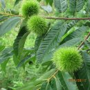 지동농장 이미지