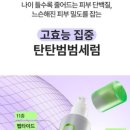 범범비