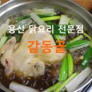 용산역 닭한마리 감동골 솔직후기