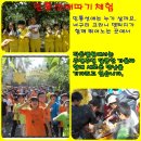 작은별농원 네이버블로그
