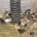 청계1로 이미지