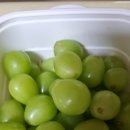 마고농원