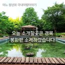 저번에 여행 소개 못한 곳 경북 봉화편 소개하겠습니다. 26.5.28